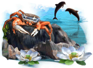 ���������� �������� ����������� ����� ���������. 10 ���� ��� �����