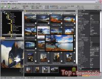   ACDSee Pro Photo Manager
