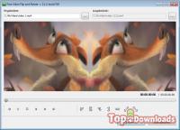 ���������� �������� Free Video Flip and Rotate