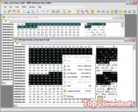   Hex Editor