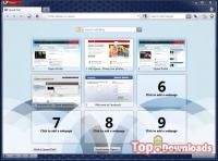   Opera web browser